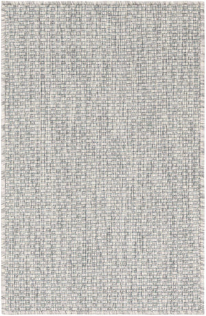 Light Gray 2' x 3' 1 Outdoor Solid Rectangle Area Rug Weather Resistant for Patio, Deck, Terrace, Balcony, Porch 100% Polypropylene Minimalist Waterproof Carpet for Sale at Rug Engine