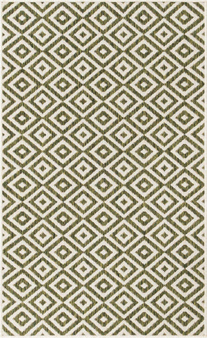 Green 3' 1 x 5' 3 Jill Zarin Outdoor Rectangle Area Rug Weather Resistant for Patio, Deck, Terrace, Balcony, Porch Durable 100% Polypropylene Carpet for Outside for Sale at Rug Engine