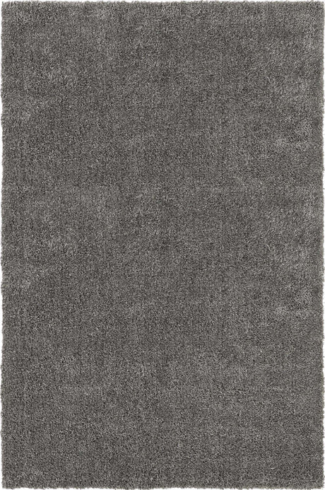 Gray 4' 1 x 6' 1 Solo Rectangle Rug