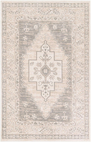 Mink 5' x 8' Whitney Rectangle Area Rug Classic Vintage Distressed Look Traditional Persian Inspired Carpet for Home Decor for Sale at Rug Engine