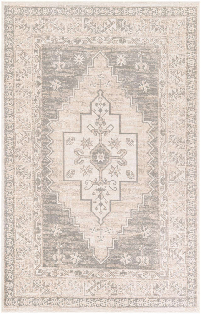 Mink 5' x 8' Whitney Rectangle Area Rug Classic Vintage Distressed Look Traditional Persian Inspired Carpet for Home Decor for Sale at Rug Engine
