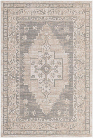 Mink 4' x 6' Whitney Rectangle Area Rug