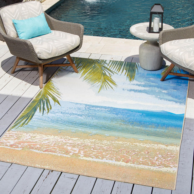 Multicolor 2' x 3' Outdoor Coastal Rectangle Area Rug Weather Resistant for Patio, Deck, Terrace, Balcony, Porch 100% Polypropylene Coastal Decor Carpet for Sale at Rug Engine