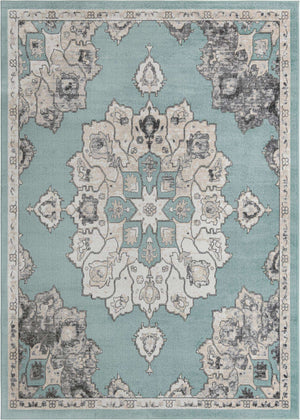 Aqua 10' x 14' Parker Rectangle Area Rug Traditional Motif Classic Design Stain Resistant Carpet for Living, Dining, Bedrooms, Kitchen, Office for Sale at Rug Engine