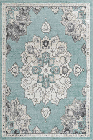Aqua 6' x 9' Parker Rectangle Area Rug Traditional Motif Classic Design Stain Resistant Carpet for Living, Dining, Bedrooms, Kitchen, Office for Sale at Rug Engine