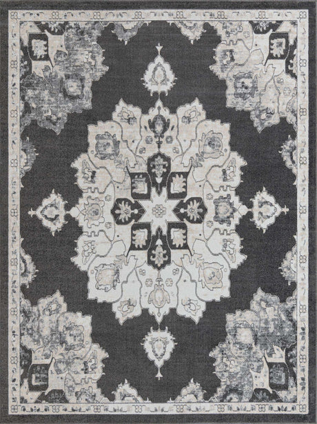 Charcoal 9' x 12' Parker Rectangle Area Rug Traditional Motif Classic Design Stain Resistant Carpet for Living, Dining, Bedrooms, Kitchen, Office for Sale at Rug Engine