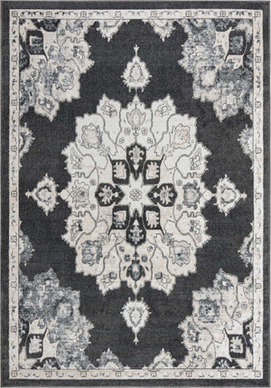 Charcoal 7' x 10' Parker Rectangle Area Rug Traditional Motif Classic Design Stain Resistant Carpet for Living, Dining, Bedrooms, Kitchen, Office for Sale at Rug Engine