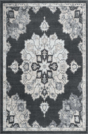 Charcoal 6' x 9' Parker Rectangle Area Rug Traditional Motif Classic Design Stain Resistant Carpet for Living, Dining, Bedrooms, Kitchen, Office for Sale at Rug Engine