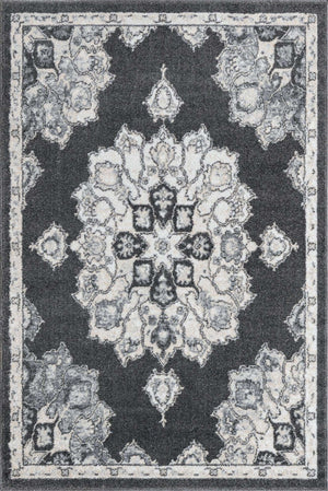 Charcoal 4' x 6' Parker Rectangle Area Rug Traditional Motif Classic Design Stain Resistant Carpet for Living, Dining, Bedrooms, Kitchen, Office for Sale at Rug Engine