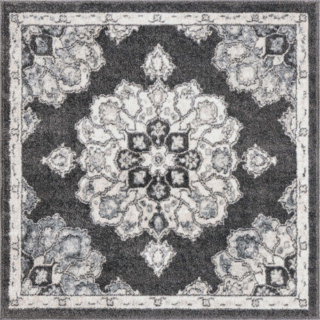 Charcoal 4' x 4' Parker Square Area Rug Traditional Motif Classic Design Stain Resistant Carpet for Living, Dining, Bedrooms, Kitchen, Office for Sale at Rug Engine