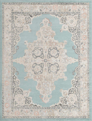 Aqua 9' x 12' Parker Rectangle Area Rug Traditional Motif Classic Design Stain Resistant Carpet for Living, Dining, Bedrooms, Kitchen, Office for Sale at Rug Engine