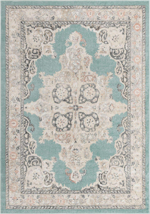 Aqua 7' x 10' Parker Rectangle Area Rug Traditional Motif Classic Design Stain Resistant Carpet for Living, Dining, Bedrooms, Kitchen, Office for Sale at Rug Engine