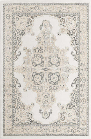 Ivory 6' x 9' Parker Rectangle Area Rug Traditional Motif Classic Design Stain Resistant Carpet for Living, Dining, Bedrooms, Kitchen, Office for Sale at Rug Engine