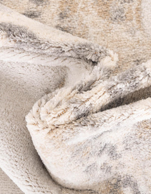 Ivory 7' x 10' Parker Rectangle Area Rug Traditional Motif Classic Design Stain Resistant Carpet for Living, Dining, Bedrooms, Kitchen, Office for Sale at Rug Engine