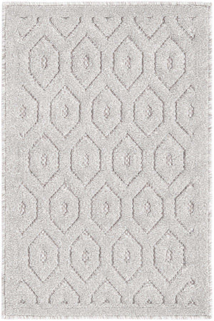 Grey 2' x 3' Outdoor Trellis Textured Rectangle Area Rug Weather Resistant for Patio, Deck, Terrace, Balcony, Porch Geometric Design Water Safe Outside Carpet for Sale at Rug Engine