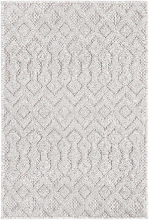 Grey 2' x 3' Outdoor Trellis Textured Rectangle Area Rug Weather Resistant for Patio, Deck, Terrace, Balcony, Porch Geometric Design Water Safe Outside Carpet for Sale at Rug Engine