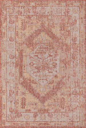 Rust Red 6' 1 x 9' Outdoor Traditional Rectangle Rug