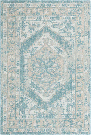 Aqua 6' 1 x 9' Outdoor Traditional Rectangle Area Rug Weather Resistant for Patio, Deck, Terrace, Balcony, Porch Classical Design Outside Carpet for Sale at Rug Engine