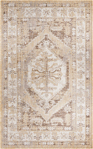 Natural 3' 1 x 5' 3 Outdoor Traditional Rectangle Area Rug Weather Resistant for Patio, Deck, Terrace, Balcony, Porch Classical Design Outside Carpet for Sale at Rug Engine