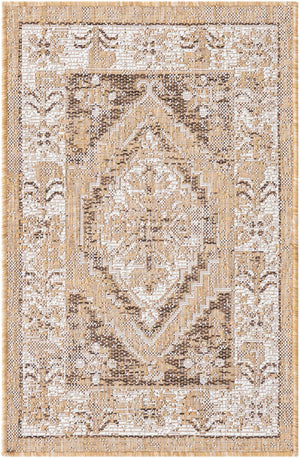 Natural 2' x 3' 1 Outdoor Traditional Rectangle Area Rug Weather Resistant for Patio, Deck, Terrace, Balcony, Porch Classical Design Outside Carpet for Sale at Rug Engine