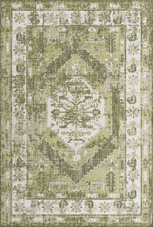 Green 6' 1 x 9' Outdoor Traditional Rectangle Rug
