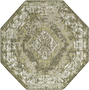 Green 5' 3 x 5' 3 Outdoor Traditional Octagon Area Rug Weather Resistant for Patio, Deck, Terrace, Balcony, Porch Classical Design Outside Carpet for Sale at Rug Engine