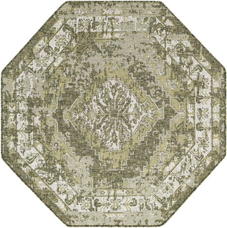 Green 5' 3 x 5' 3 Outdoor Traditional Octagon Area Rug Weather Resistant for Patio, Deck, Terrace, Balcony, Porch Classical Design Outside Carpet for Sale at Rug Engine