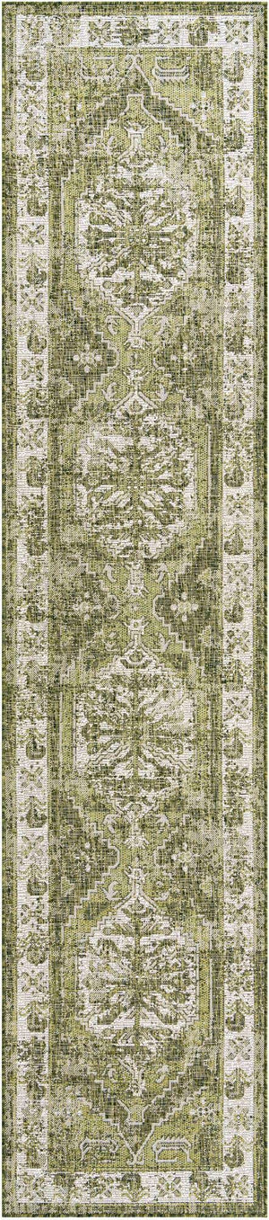 Green 2' 7 x 12' Outdoor Traditional Runner Area Rug Weather Resistant for Patio, Deck, Terrace, Balcony, Porch Classical Design Outside Carpet for Sale at Rug Engine