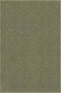 Pickle Green 1' 4 x 1' 4 Everyday Solid Sample Area Rug 100% Polypropylene With Felt Backing Easy Clean Simple Carpet for Minimalist Room Decorating for Sale at Rug Engine