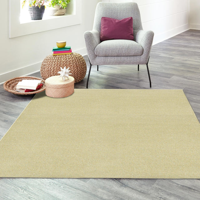 Pastel Green 7' x 7' Everyday Solid Square Area Rug 100% Polypropylene With Felt Backing Easy Clean Simple Carpet for Minimalist Room Decorating for Sale at Rug Engine