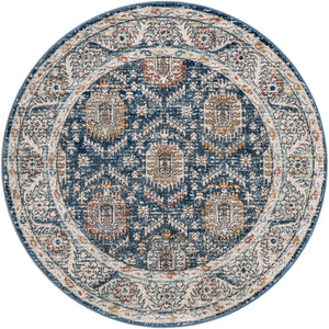 Blue 5' 3 x 5' 3 Nyla Round Area Rug 100% Polypropylene Traditional Classic Carpet for Living Room, Kitchen, Bedroom, Dining, Office for Sale at Rug Engine