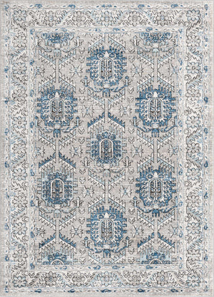 Gray 6' x 9' Nyla Rectangle Area Rug 100% Polypropylene Traditional Classic Carpet for Living Room, Kitchen, Bedroom, Dining, Office for Sale at Rug Engine
