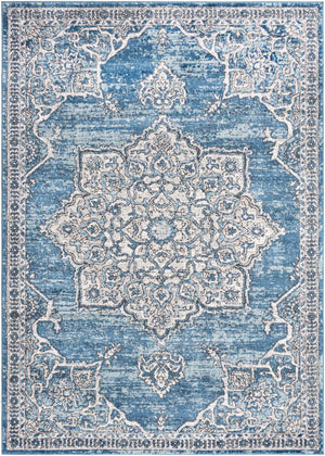 Blue 6' x 9' Nyla Rectangle Area Rug 100% Polypropylene Traditional Classic Carpet for Living Room, Kitchen, Bedroom, Dining, Office for Sale at Rug Engine