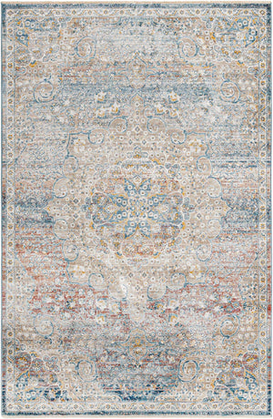 Multicolor 6' x 9' 2 Newport Rectangle Area Rug 100% Polypropylene Traditional Distressed Classic Contemporary Carpet for Home Decor for Sale at Rug Engine
