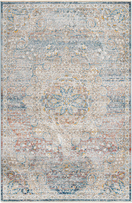 Multicolor 6' x 9' 2 Newport Rectangle Area Rug 100% Polypropylene Traditional Distressed Classic Contemporary Carpet for Home Decor for Sale at Rug Engine