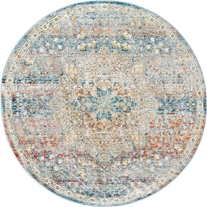 Multicolor 5' 3 x 5' 3 Newport Round Area Rug 100% Polypropylene Traditional Distressed Classic Contemporary Carpet for Home Decor for Sale at Rug Engine