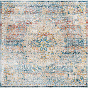 Multicolor 8' x 8' Newport Square Area Rug 100% Polypropylene Traditional Distressed Classic Contemporary Carpet for Home Decor for Sale at Rug Engine