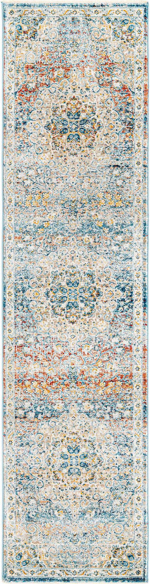 Multicolor 2' x 8' Newport Runner Area Rug 100% Polypropylene Traditional Distressed Classic Contemporary Carpet for Home Decor for Sale at Rug Engine