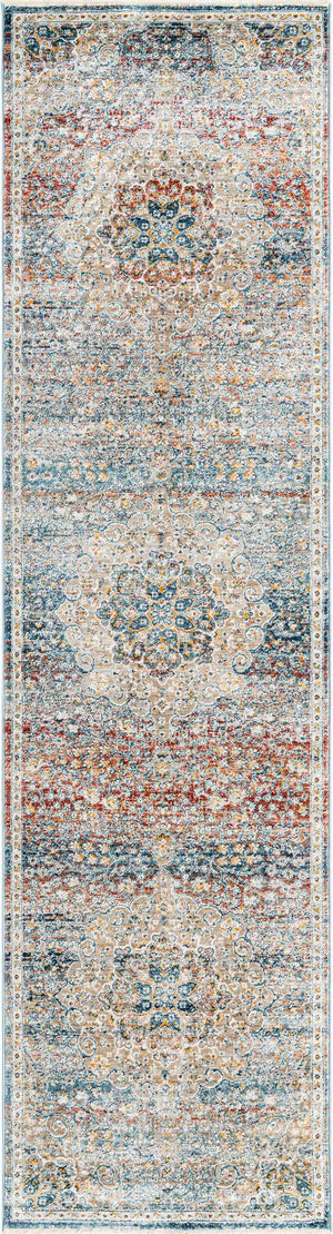 Multicolor 2' 7 x 10' 2 Newport Runner Area Rug 100% Polypropylene Traditional Distressed Classic Contemporary Carpet for Home Decor for Sale at Rug Engine