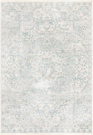 Gray 4' x 5' 11 Newport Rectangle Area Rug 100% Polypropylene Traditional Distressed Classic Contemporary Carpet for Home Decor for Sale at Rug Engine