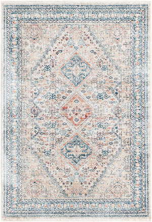 Multicolor 4' x 5' 11 Newport Rectangle Area Rug 100% Polypropylene Traditional Distressed Classic Contemporary Carpet for Home Decor for Sale at Rug Engine
