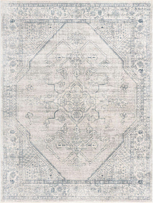 Gray 9' x 12' Newport Rectangle Area Rug 100% Polypropylene Traditional Distressed Classic Contemporary Carpet for Home Decor for Sale at Rug Engine