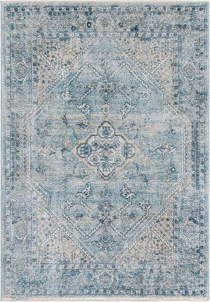 Blue 4' x 5' 11 Newport Rectangle Area Rug 100% Polypropylene Traditional Distressed Classic Contemporary Carpet for Home Decor for Sale at Rug Engine