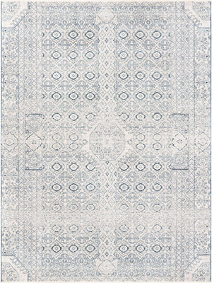 Gray 9' x 12' Newport Rectangle Area Rug 100% Polypropylene Traditional Distressed Classic Contemporary Carpet for Home Decor for Sale at Rug Engine