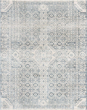 Gray 7' 10 x 10' 2 Newport Rectangle Area Rug 100% Polypropylene Traditional Distressed Classic Contemporary Carpet for Home Decor for Sale at Rug Engine
