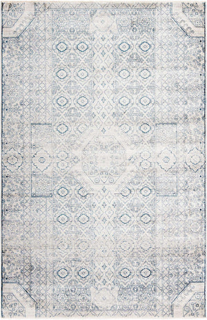 Gray 6' x 9' 2 Newport Rectangle Area Rug 100% Polypropylene Traditional Distressed Classic Contemporary Carpet for Home Decor for Sale at Rug Engine