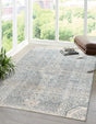Gray 5' 3 x 8' Newport Rectangle Area Rug 100% Polypropylene Traditional Distressed Classic Contemporary Carpet for Home Decor for Sale at Rug Engine