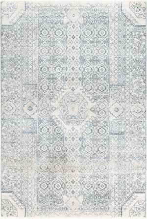 Gray 5' 3 x 8' Newport Rectangle Area Rug 100% Polypropylene Traditional Distressed Classic Contemporary Carpet for Home Decor for Sale at Rug Engine