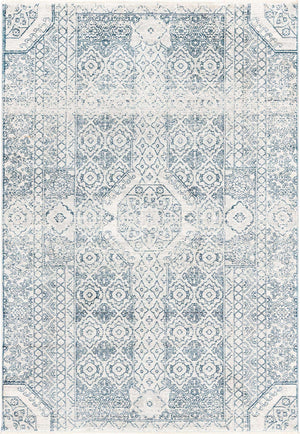 Gray 4' x 5' 11 Newport Rectangle Area Rug 100% Polypropylene Traditional Distressed Classic Contemporary Carpet for Home Decor for Sale at Rug Engine