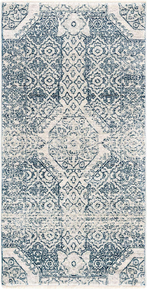 Gray 2' x 3' 11 Newport Runner Area Rug 100% Polypropylene Traditional Distressed Classic Contemporary Carpet for Home Decor for Sale at Rug Engine